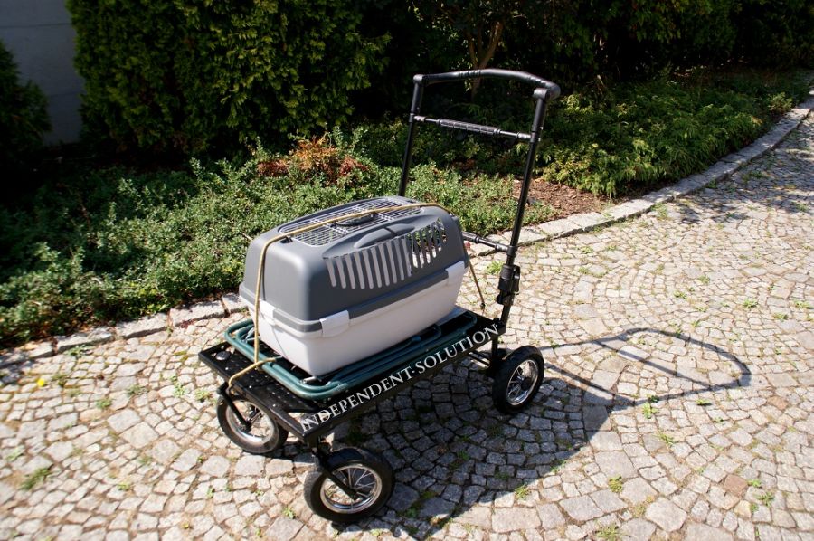 DOG SHOW PLATFORM size L Trolleys on dog show.